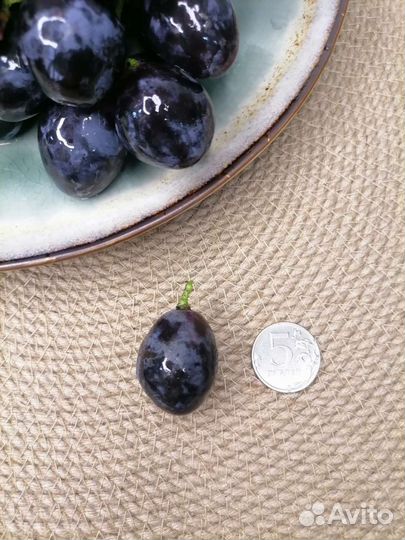 Саженцы и черенки винограда