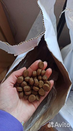 Сухой корм Променад для собак весом