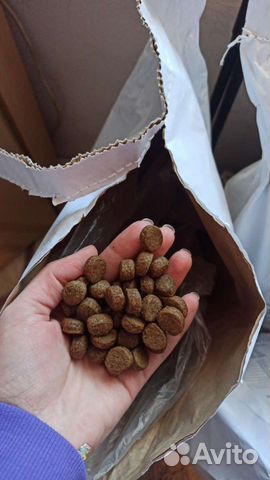 Сухой корм Променад для собак весом