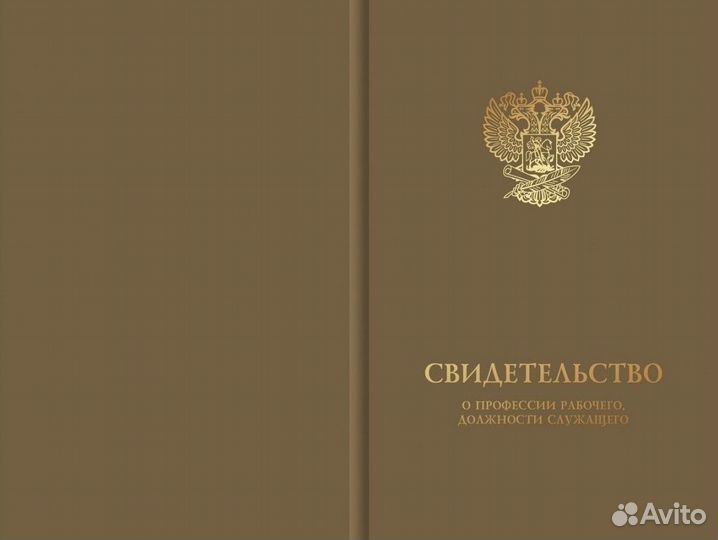 Курсы бровиста в Красноярске