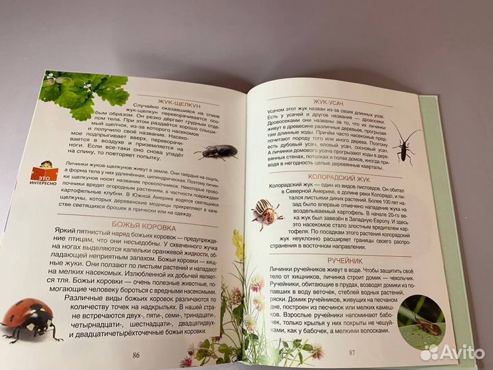 Детская книга