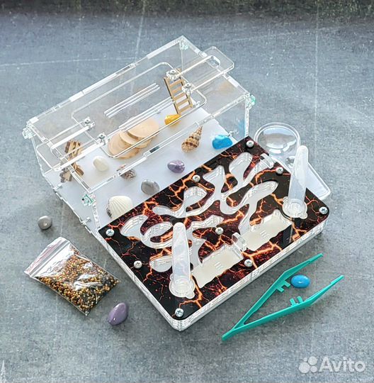 Муравьиная ферма новая + муравьи, корм и декор