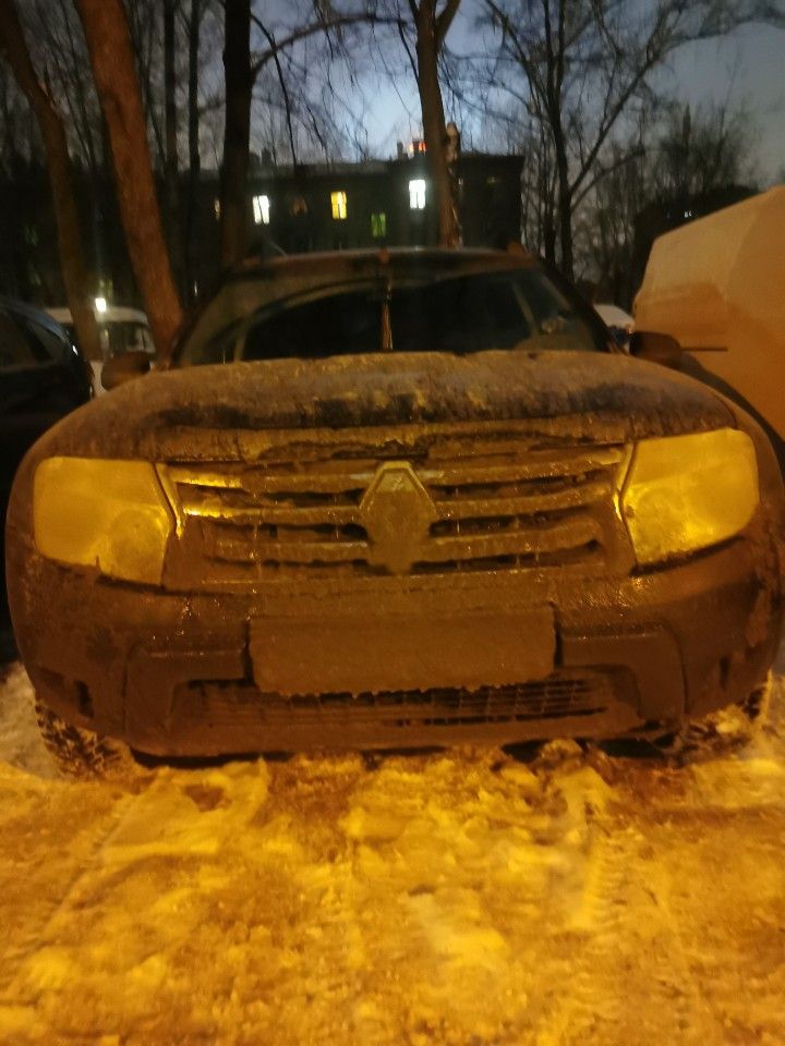 Renault Duster: фото владельца