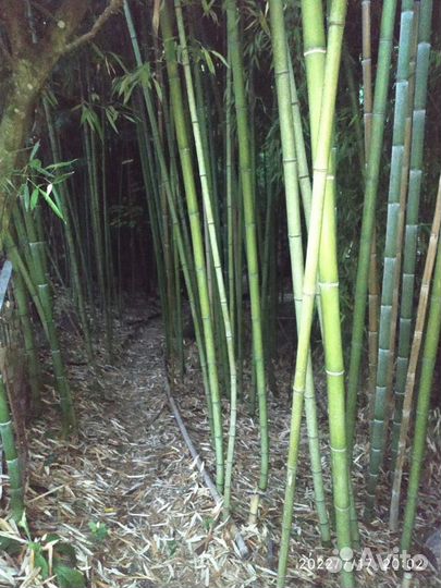 Отдых на черном море