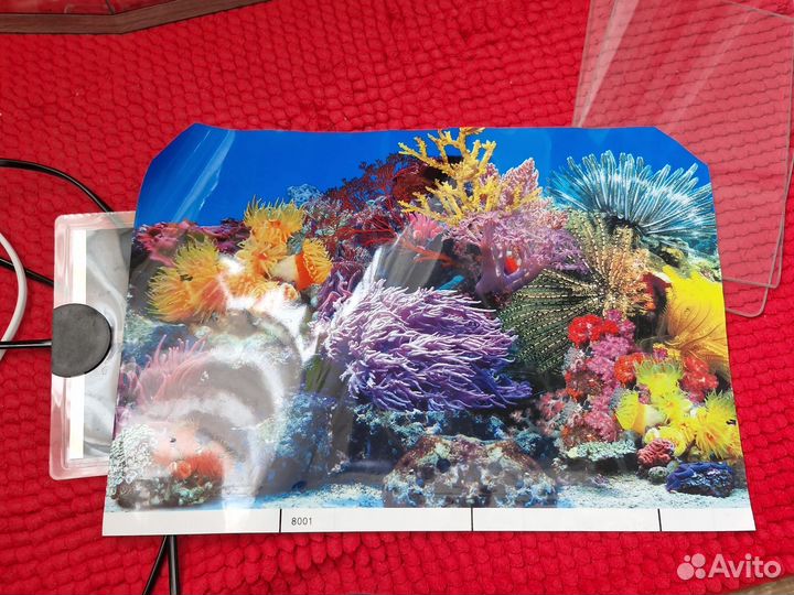 Аквариум