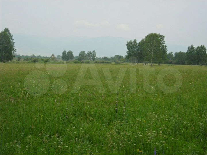 Участок 100 сот. (СНТ, ДНП)