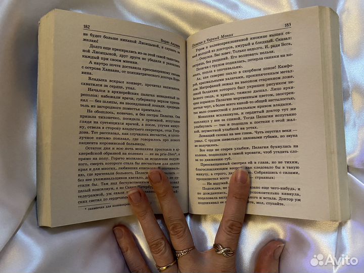 Книги борис Акунин