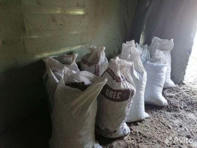 Навоз конский в мешках