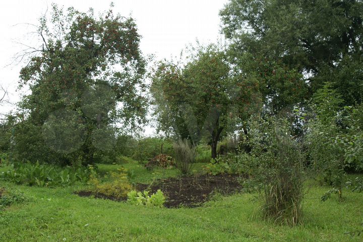 Участок 22 сот. (ИЖС)