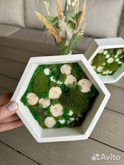 Декор со стабилизированным мхом