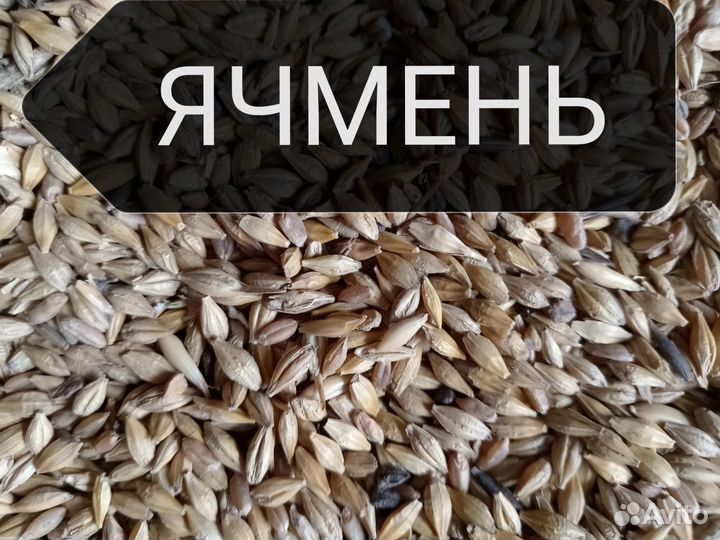 Комбикорма