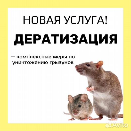 Дезинфекция