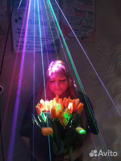 Дискотека, светомузыка