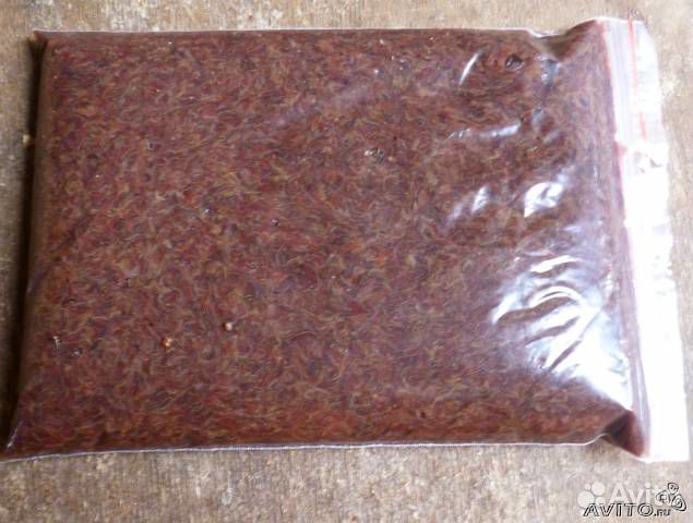 Артемия корм замороженный в наличии