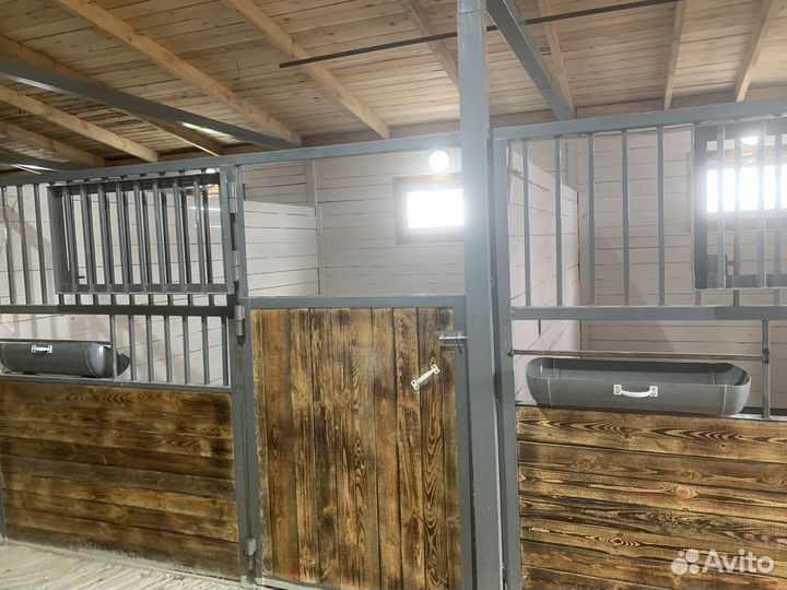 Конные прогулки