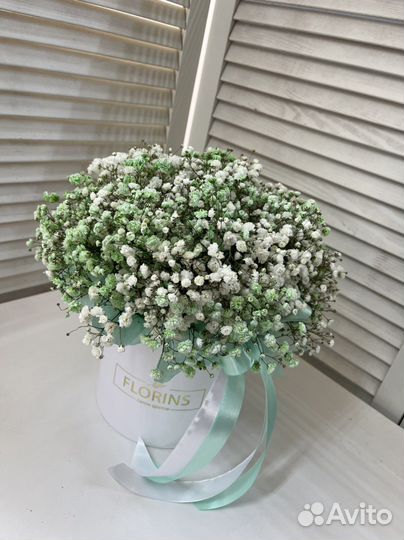 Гипсофила в коробке