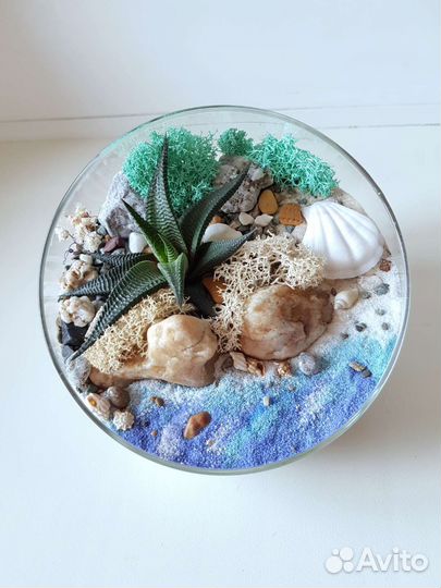 Флорариум с суккулентами. Оригинальный подарок