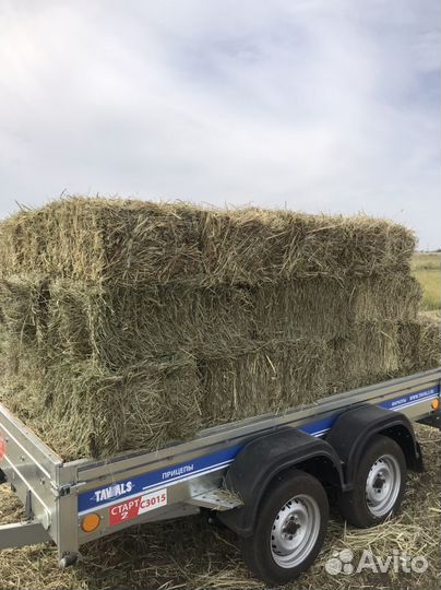 Продажа сена в тюках