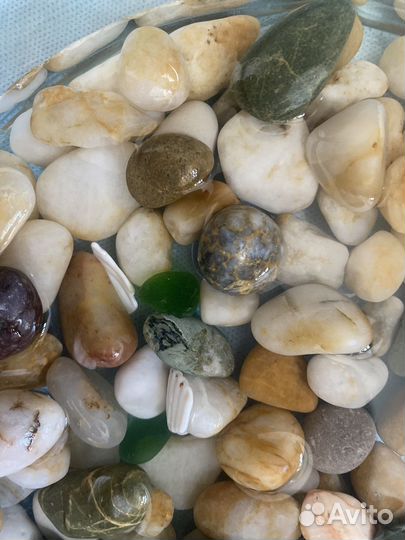 Морские камни