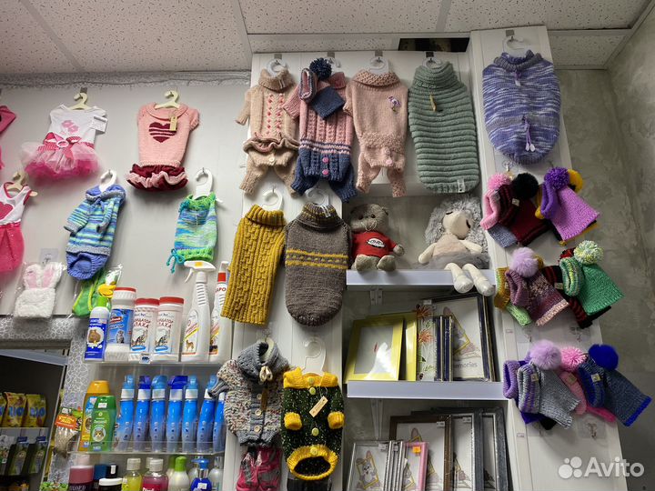 Одежда для собак