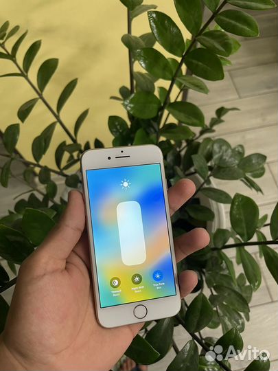 iPhone 8, 256 ГБ
