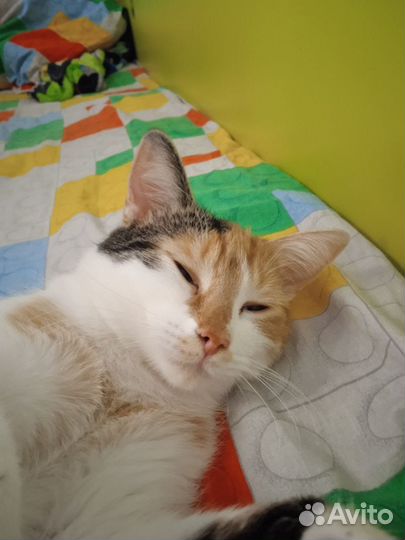 Девочка 15 месяцев