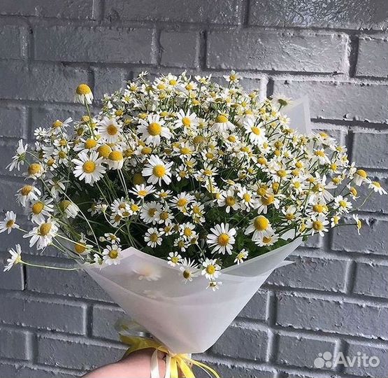 Букеты ромашек