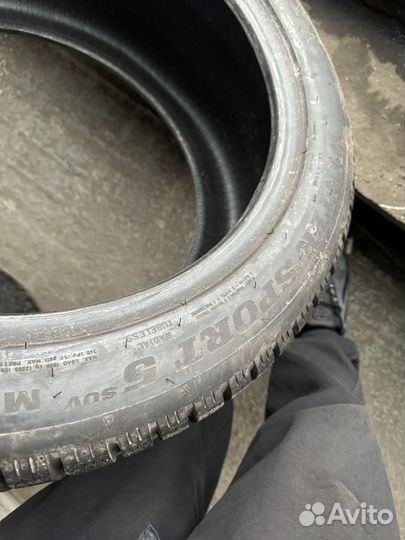 Dunlop Winter Sport 5 255/45 R20 и 285/40 R20 V