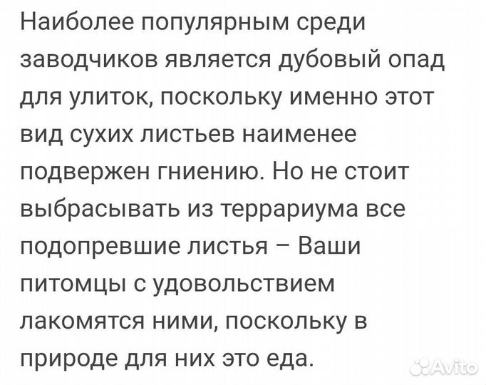 Дубовый опад