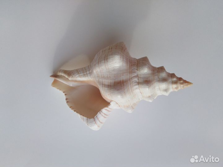 Статуэтки и сувениры