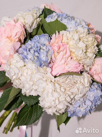 Букет Москва гортензия микс 15 шт