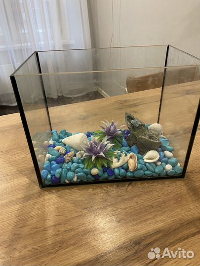 Аквариум