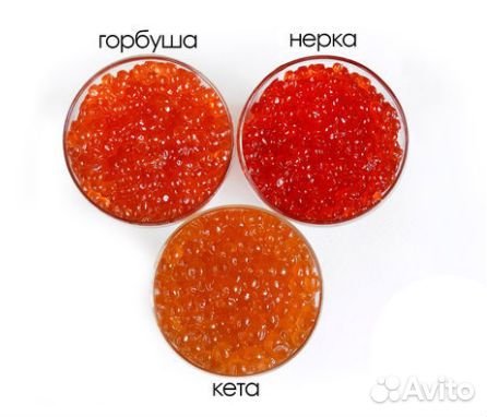 Красная икра улов 2023 года