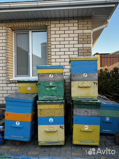 Ульи для пчел