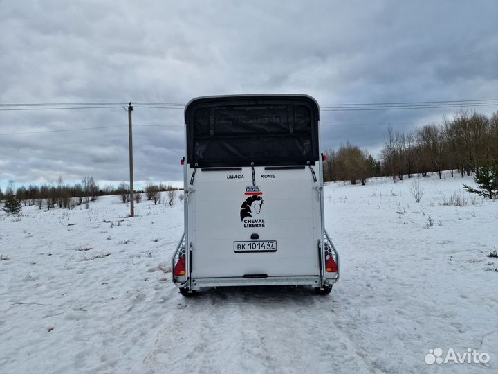 Конеперевозки,Перевозка лошадей. Коневоз