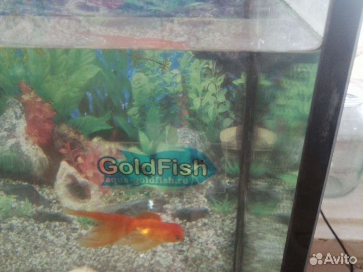 Аквариум