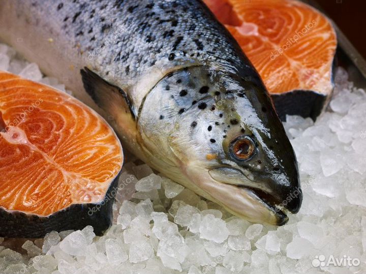 Купи франшизу рыбного магазина и зарабатывай