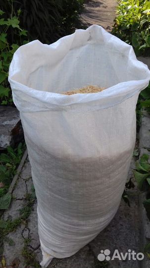 Кедровая стружка