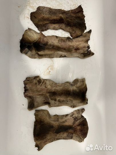 Камус, кисы