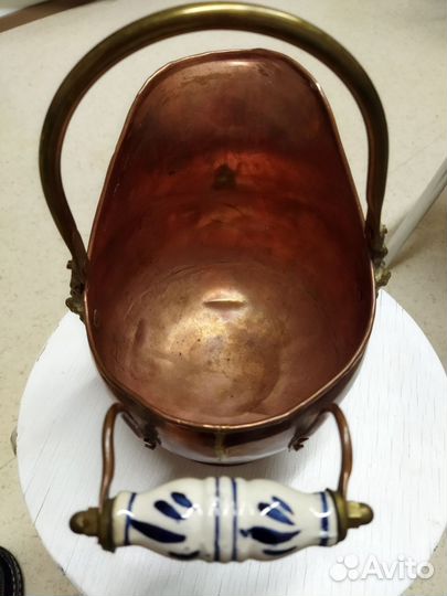 Зольник медный