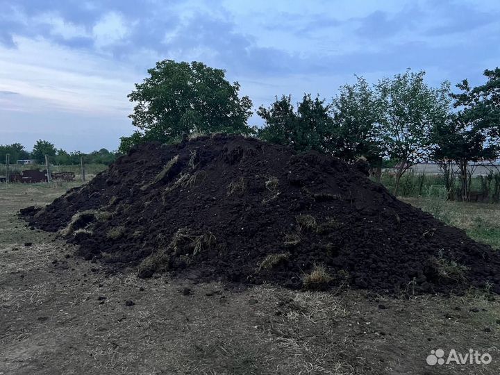 Земля чернозем