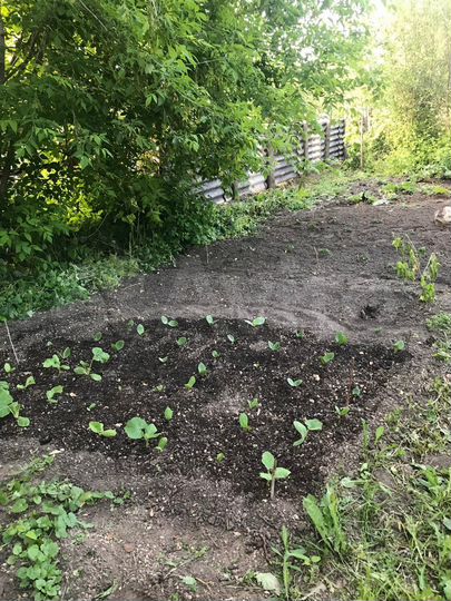 Дача 48 м² на участке 18 сот.