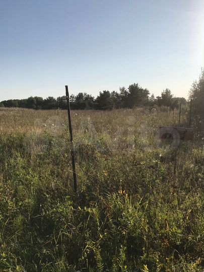 Участок 25 сот. (ИЖС)