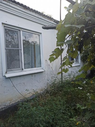 Дом 50 м² на участке 1,5 сот.