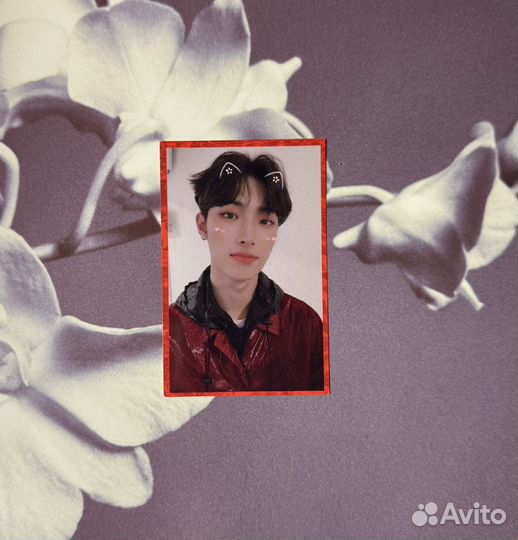 Ateez минги бродкаст