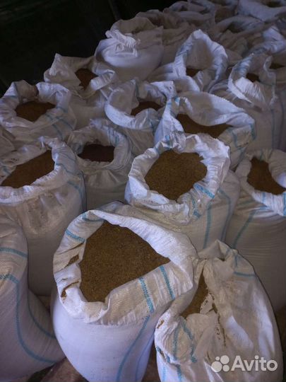 Семена люцерны