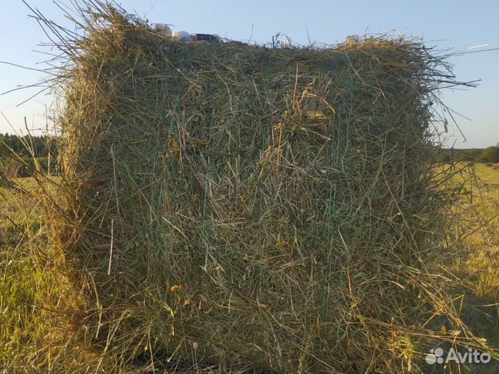 Сено в рулонах