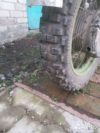 Минск гибрид