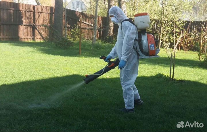 Уничтожение клещей и тараканов
