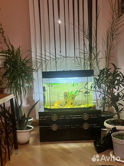 Аквариум